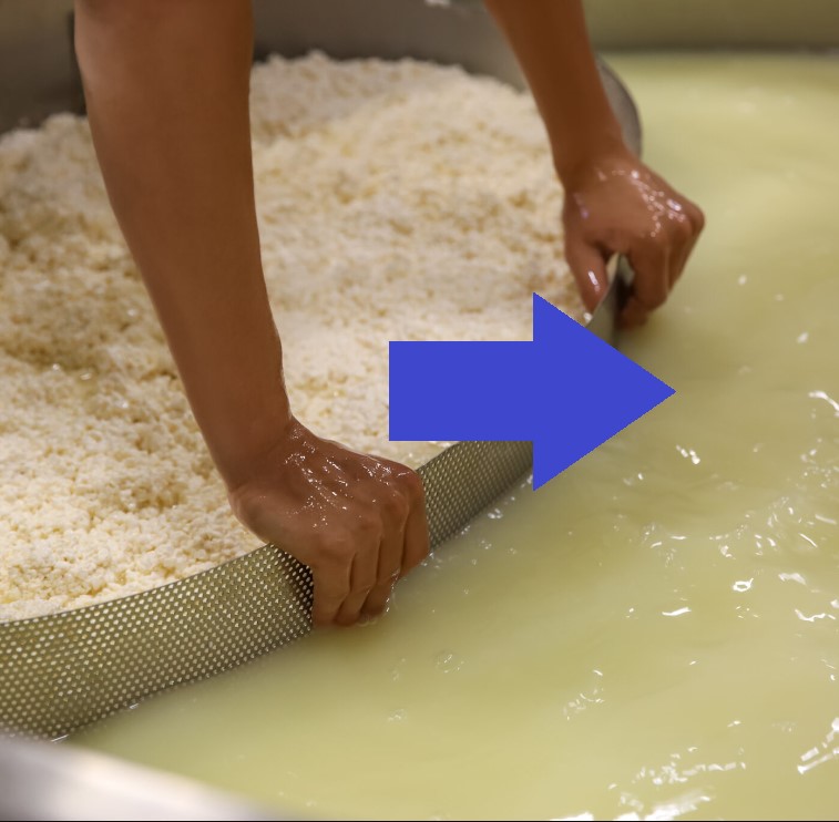 The liquid section of a cheese manufacturing process is indicated.