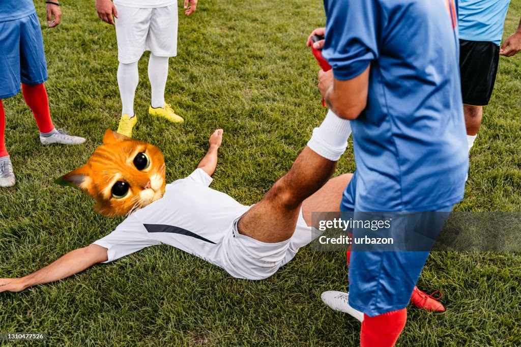 Cat footballer having lactic acid stretched out.